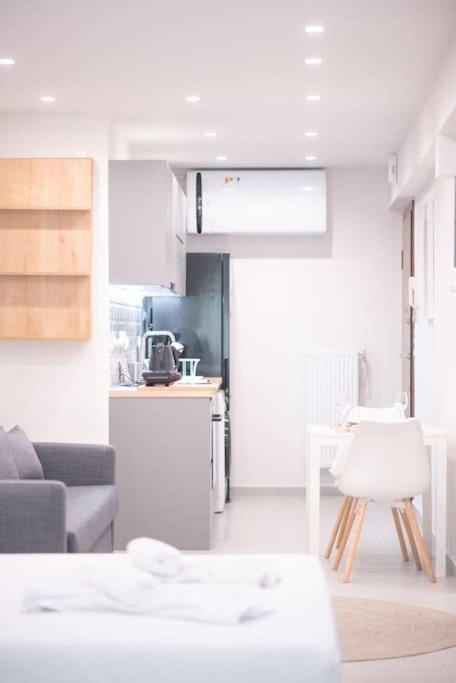 Apartment Luxury With Garden Next To Acropolis Athens