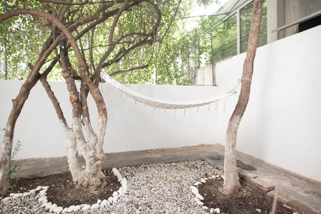 Apartment Luxury With Garden Next To Acropolis Athens