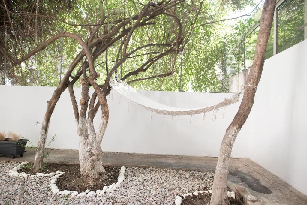 Luxury With Garden Next To Acropolis Athens