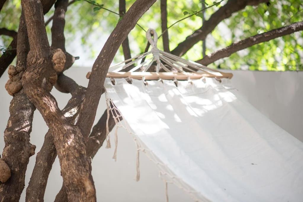 Luxury With Garden Next To Acropolis *